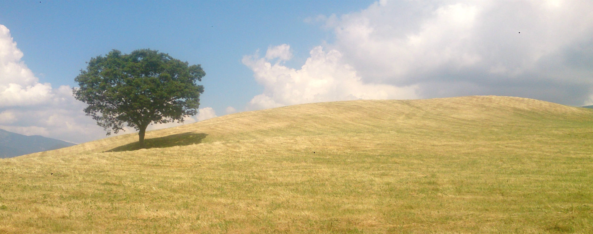 Studio di Psicologia Igea